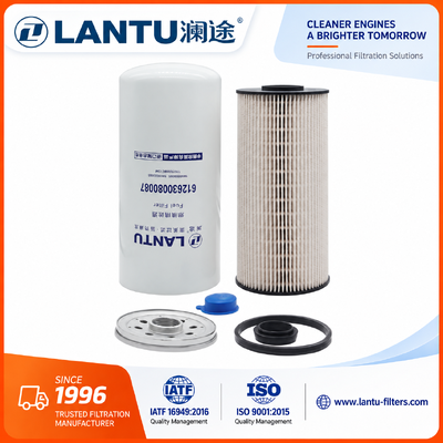 Filtro da combustibile diesel di Lantu 612630080087 1000053555 1000422382 produttore di 1117050B81DM FC71090 R010018